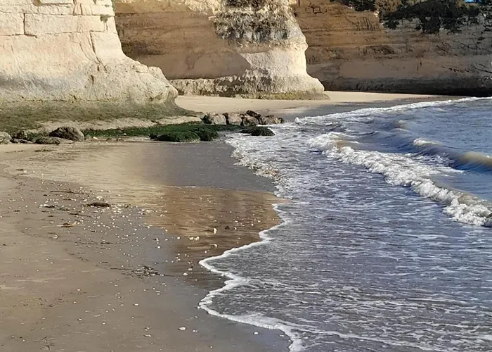 Semesterbostad Maisonnette Familiale, Piscine Et Terrain De Tennis - Meschers-sur-Gironde